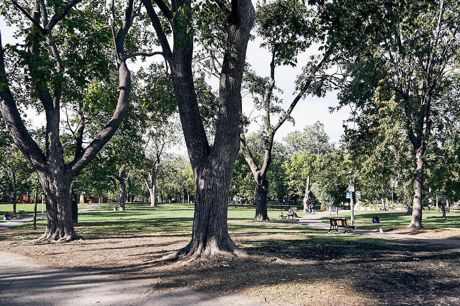 Parc Girouard