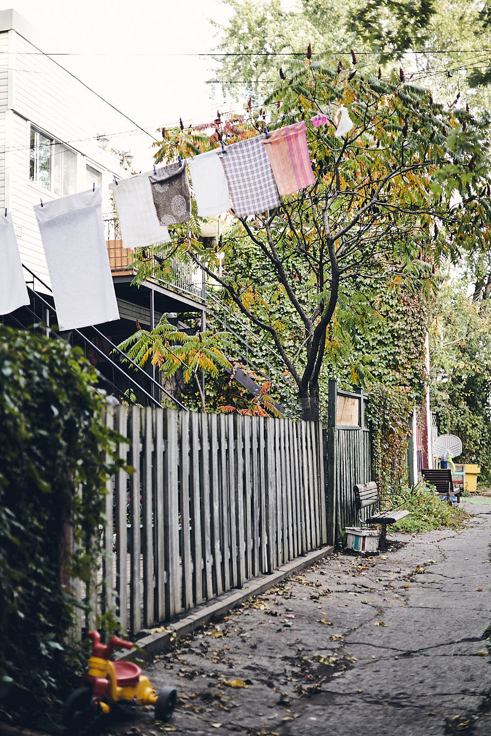 Ruelle La face cachée de la rue