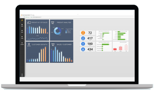 QlikView Reporting_Web.png