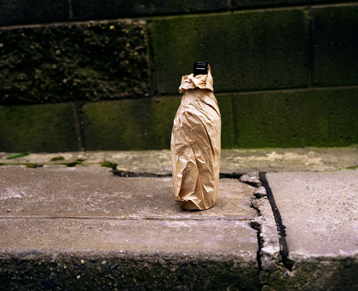 Untitled. From the series, Still Lives. St Peters, NSW