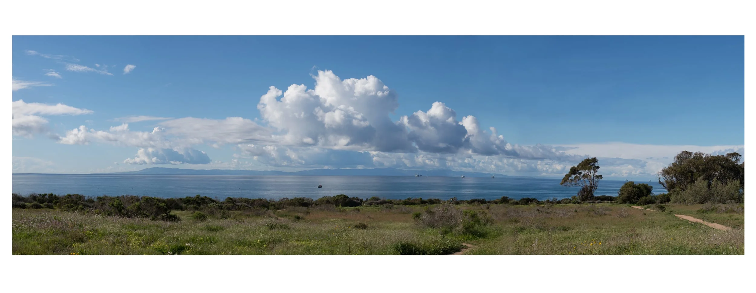 CI Pano Web.jpg