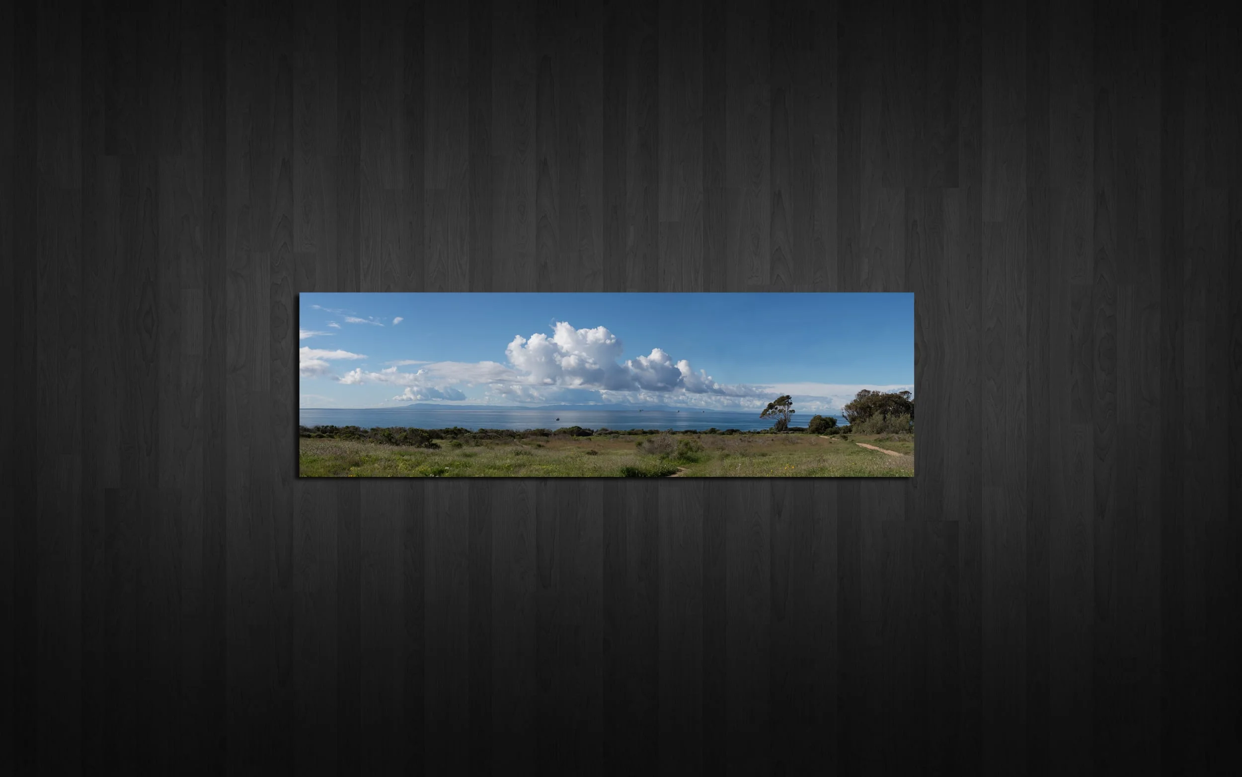 CI Pano2 Web.jpg