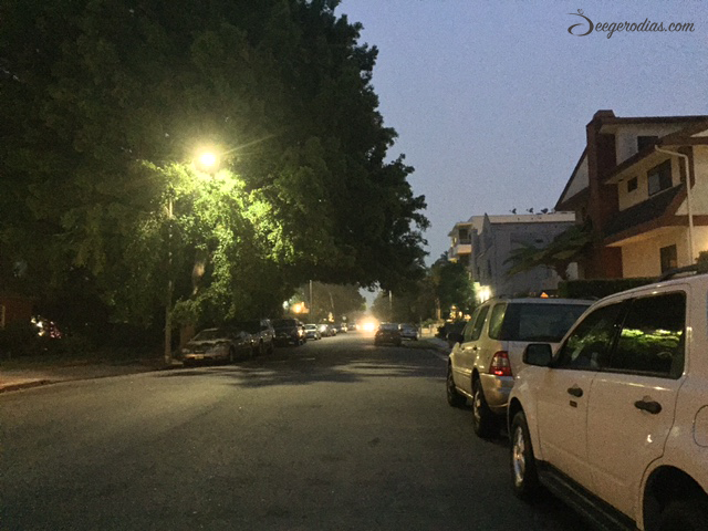 Went for an evening run in Los Angeles no matter how chilly it was. I got lost on my way back but that only gave me more opportunity to discover the neighborhood and gave me more running miles!