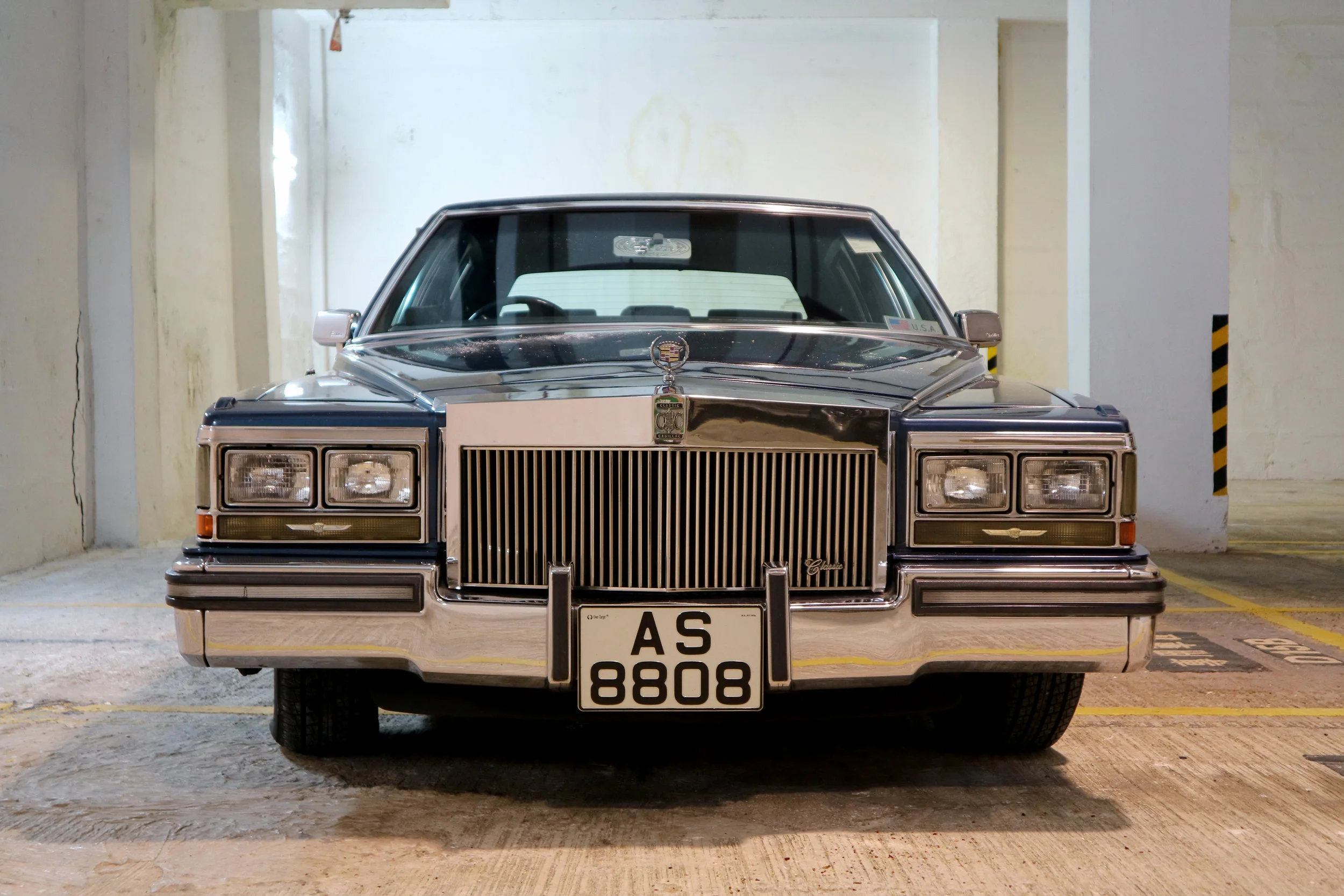 IMG_0103 11.21.37 am.JPG