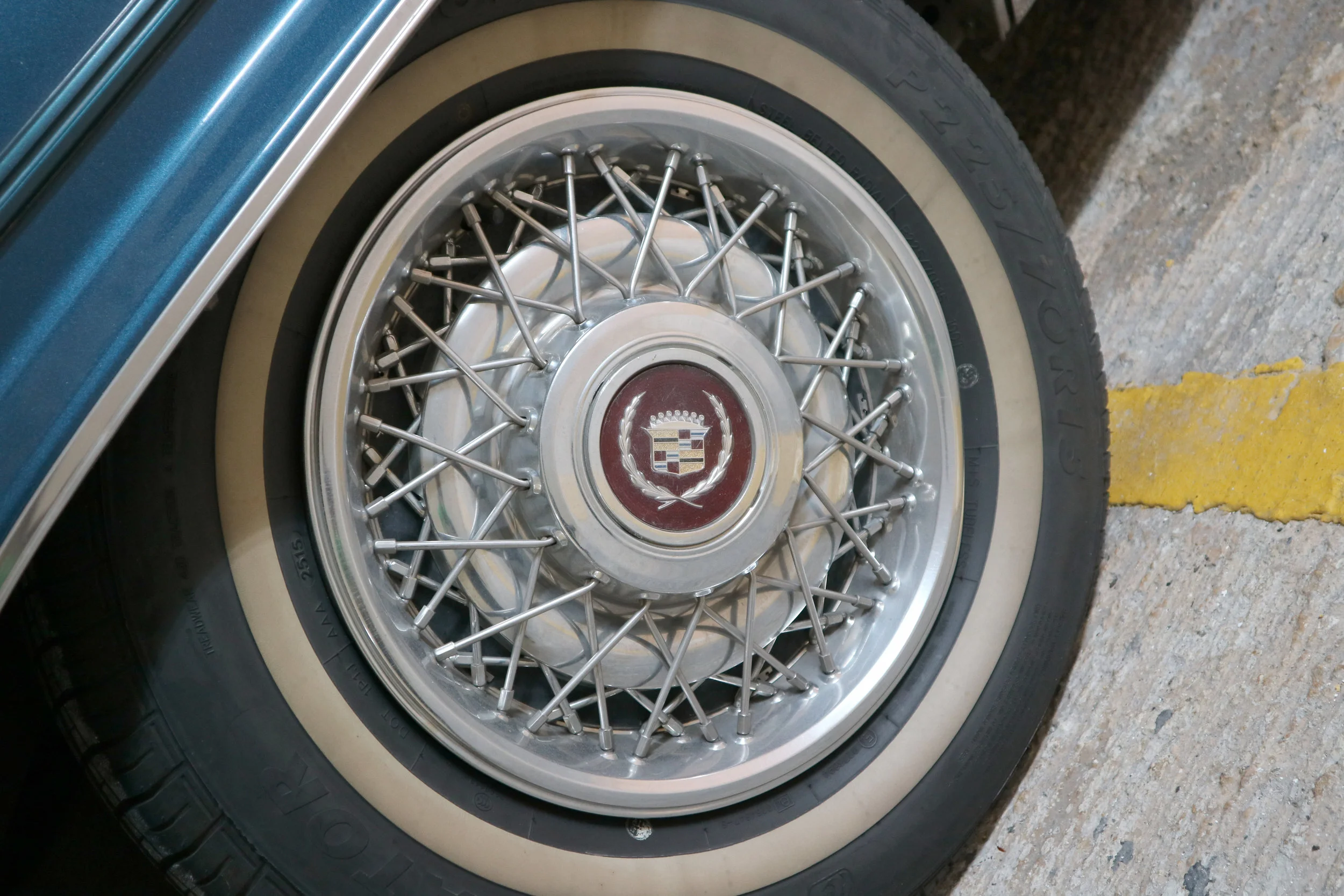 IMG_0132 11.21.38 am.JPG