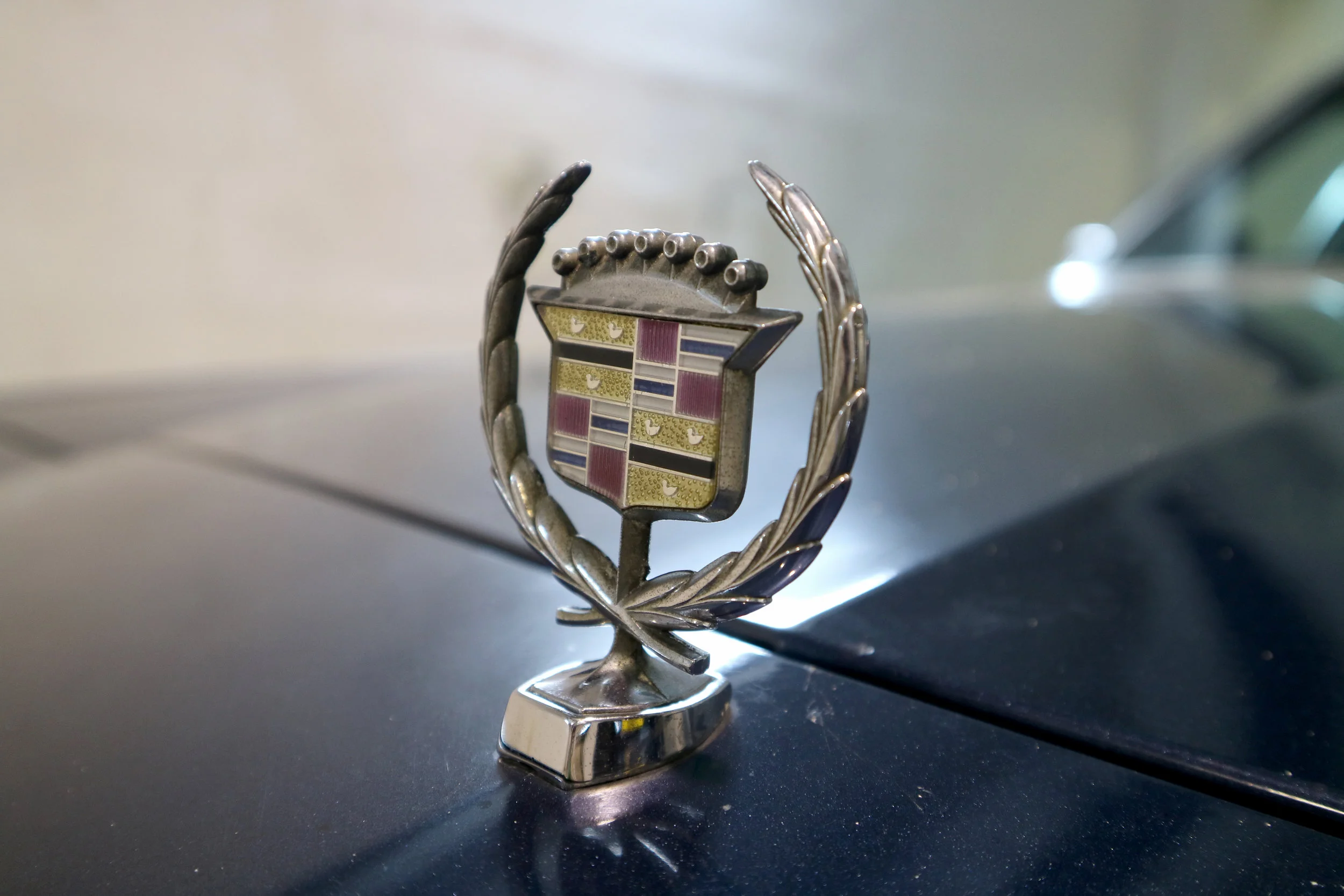 IMG_0108 11.21.38 am.JPG