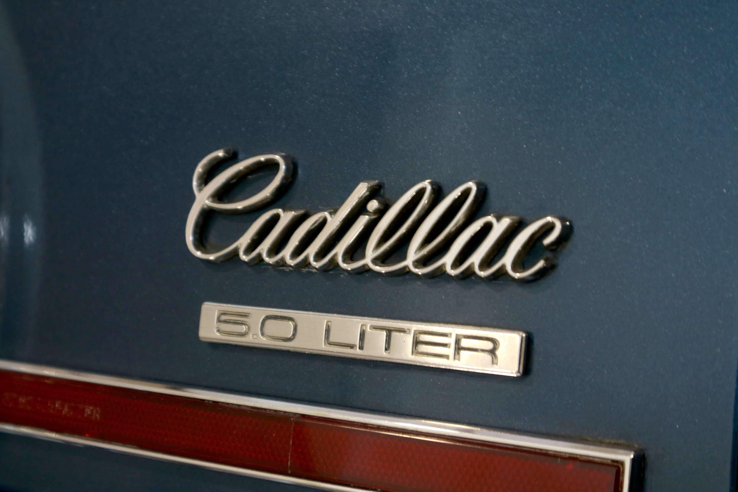 IMG_0114 11.21.38 am.JPG