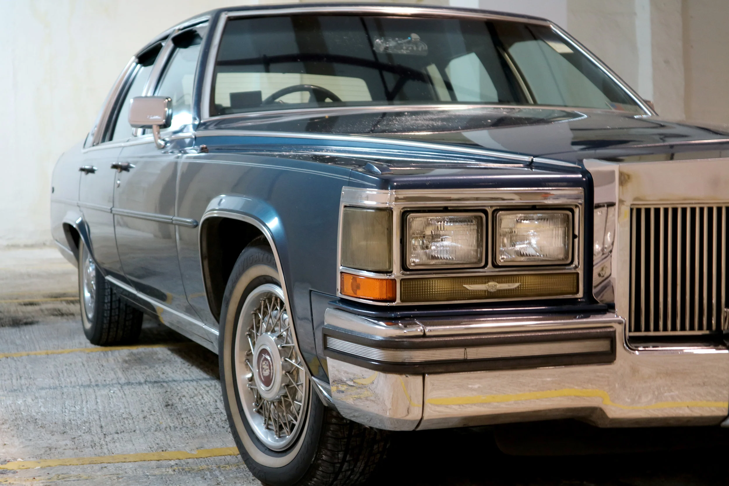 IMG_0104 11.21.38 am.JPG