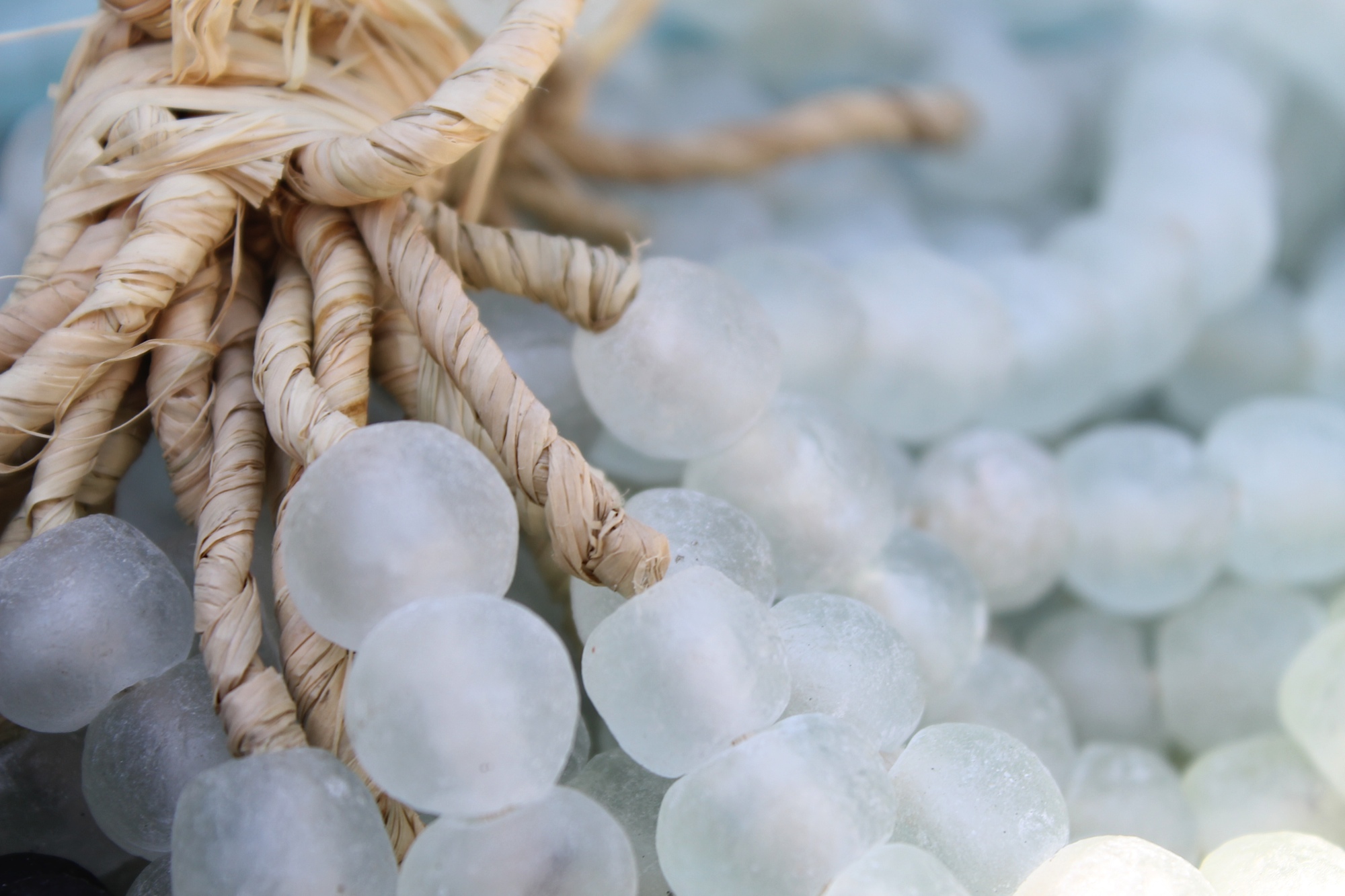 1st goes to Lucy Kamgar with this beautiful low depth of field image.