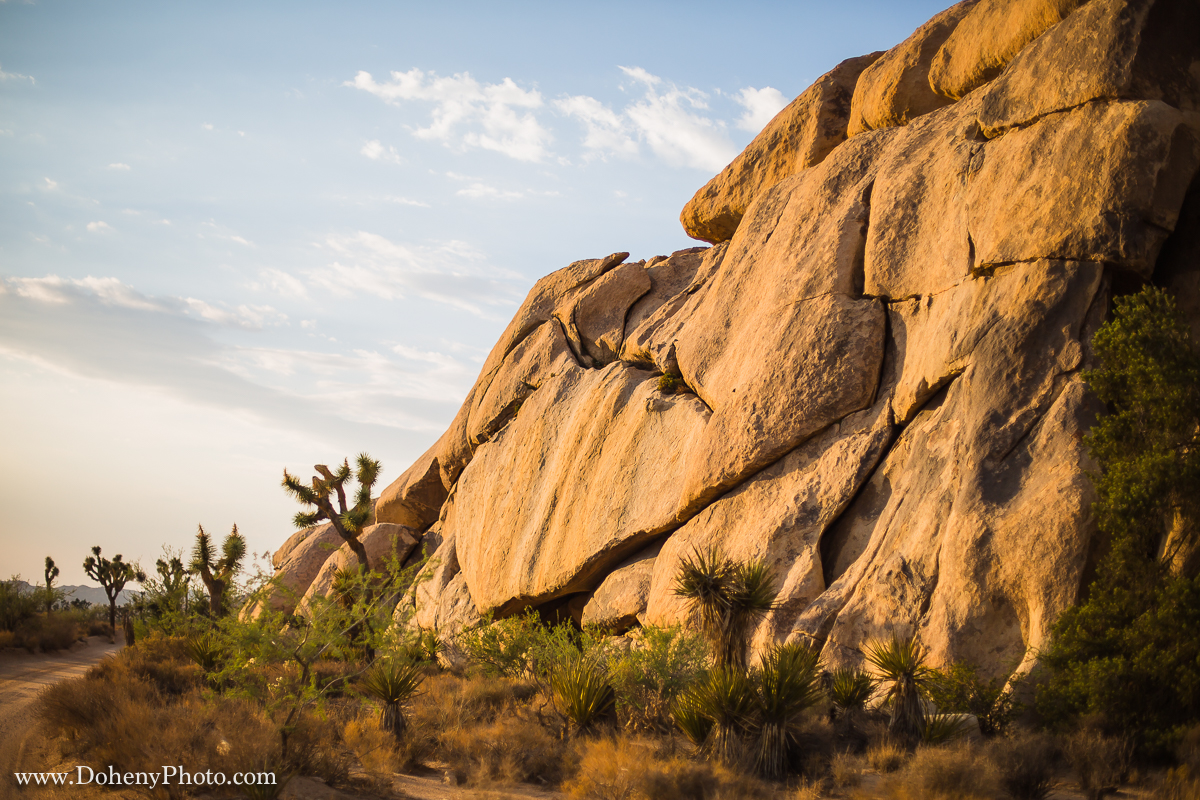 ©Matt_Doheny-1057.jpg