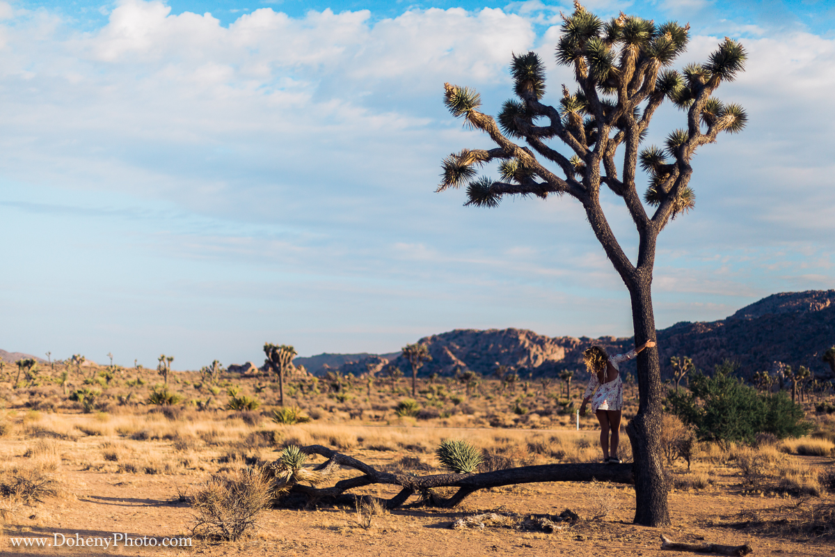 ©Matt_Doheny-1005-Edit.jpg