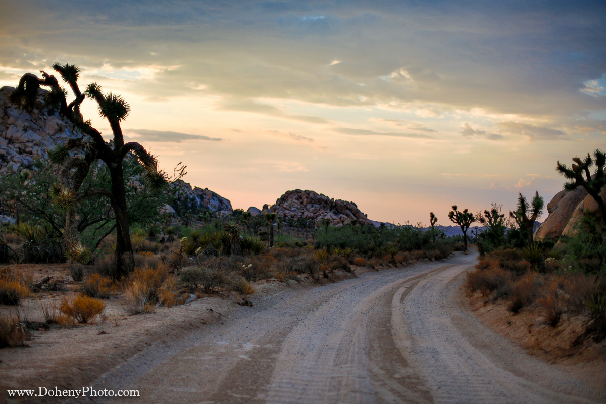 ©Matt_Doheny-1223.jpg