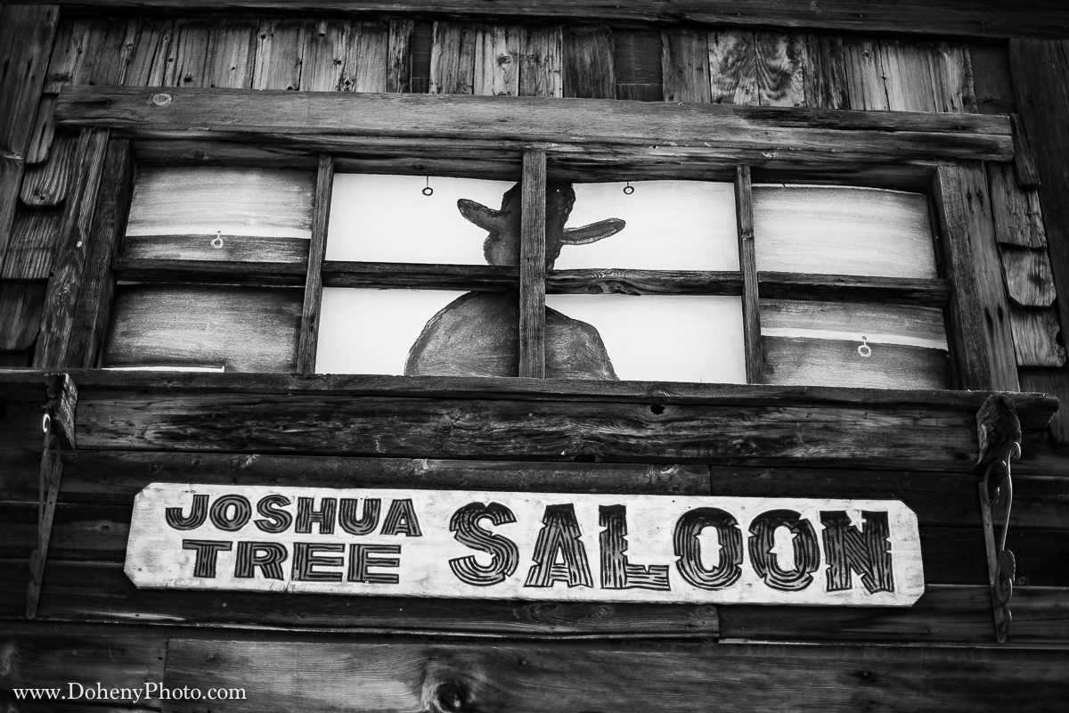 ©Matt_Doheny-0806.jpg