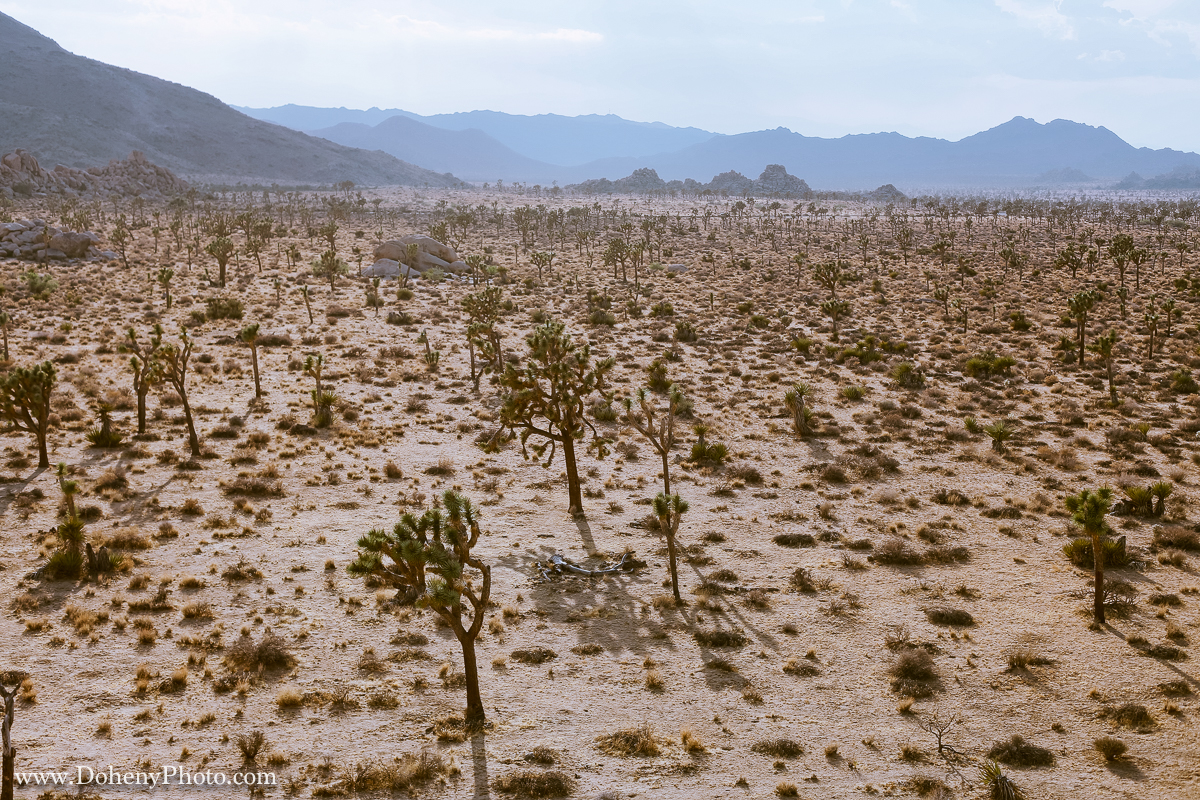 ©Matt_Doheny-0876.jpg
