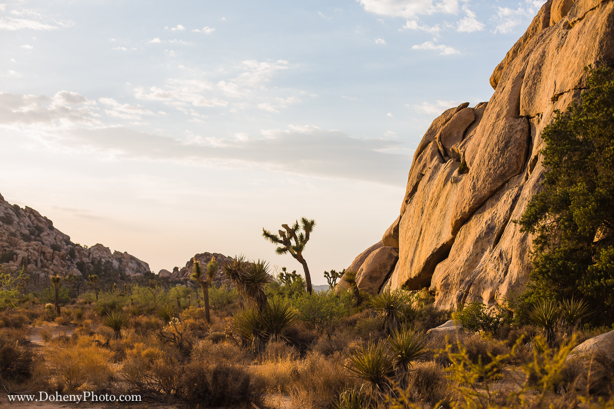 ©Matt_Doheny-1082.jpg
