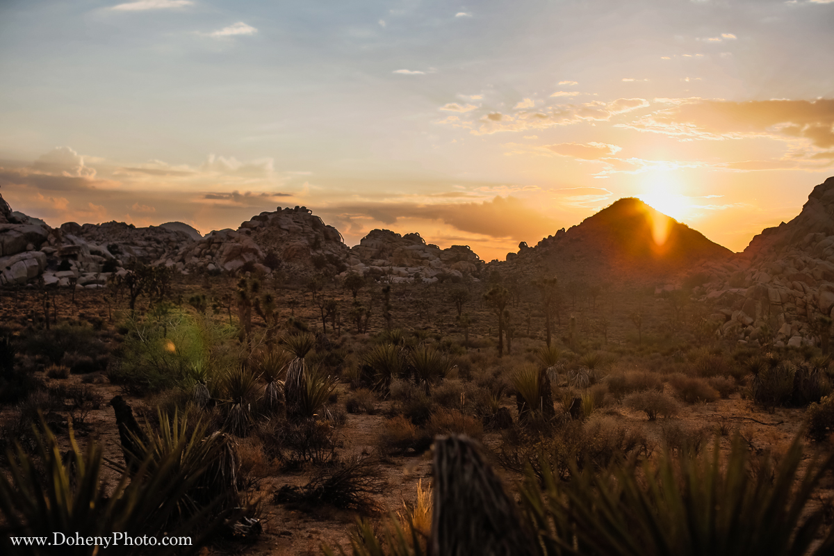 ©Matt_Doheny-1139.jpg
