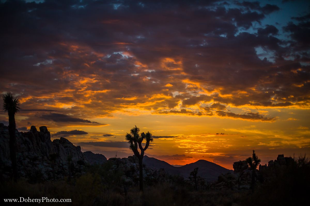 ©Matt_Doheny-1331.jpg