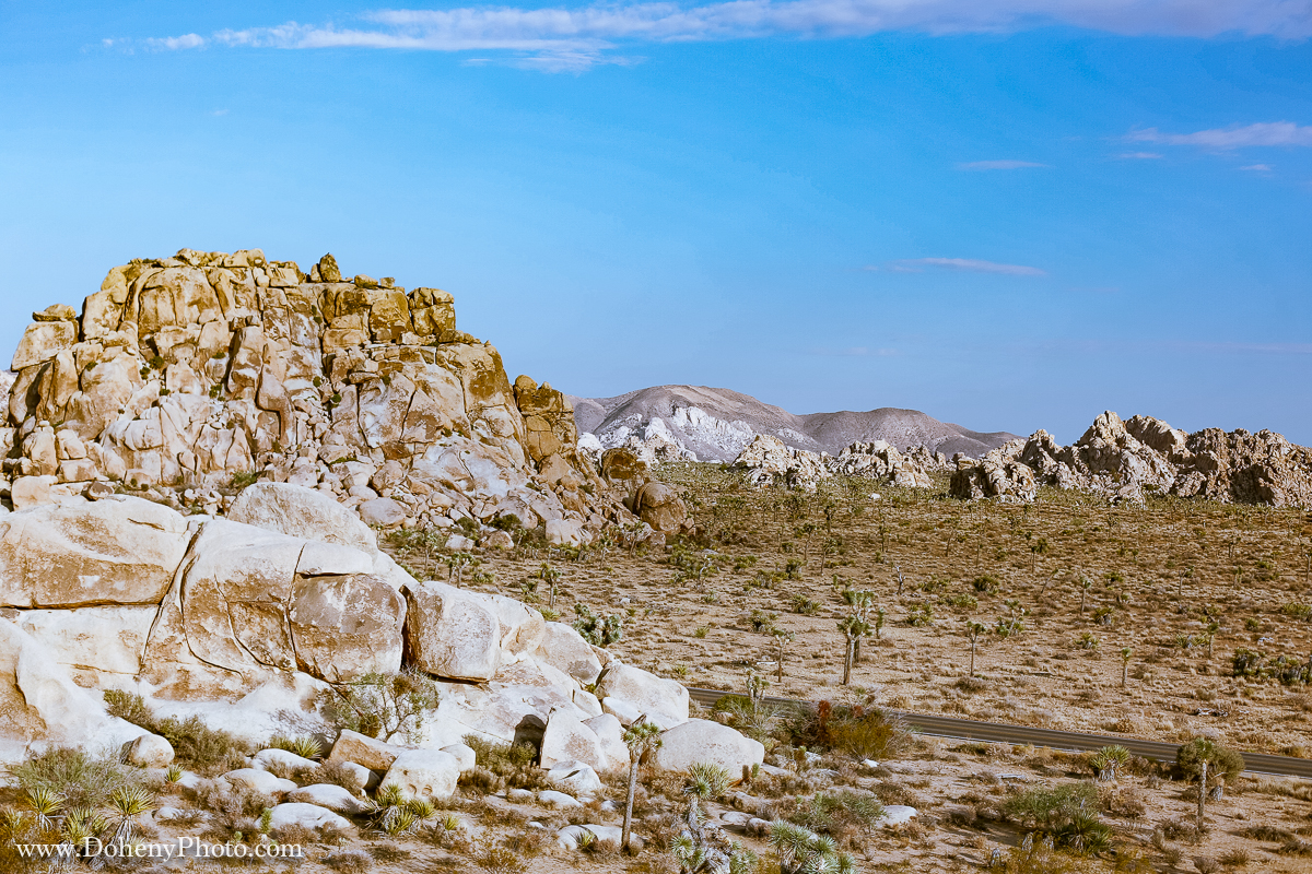 ©Matt_Doheny-0877.jpg