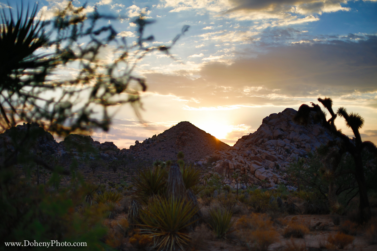 ©Matt_Doheny-1221.jpg