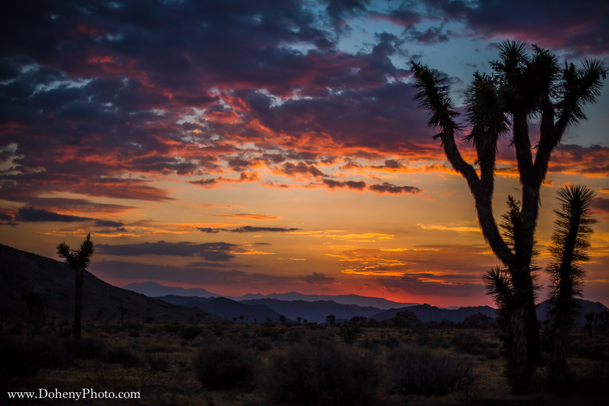 ©Matt_Doheny-1350.jpg