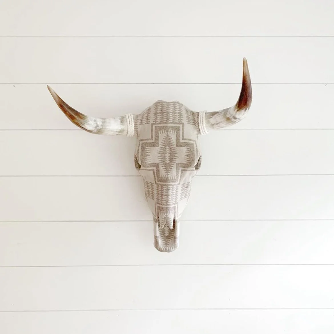 pendleton-steer-harding.jpeg
