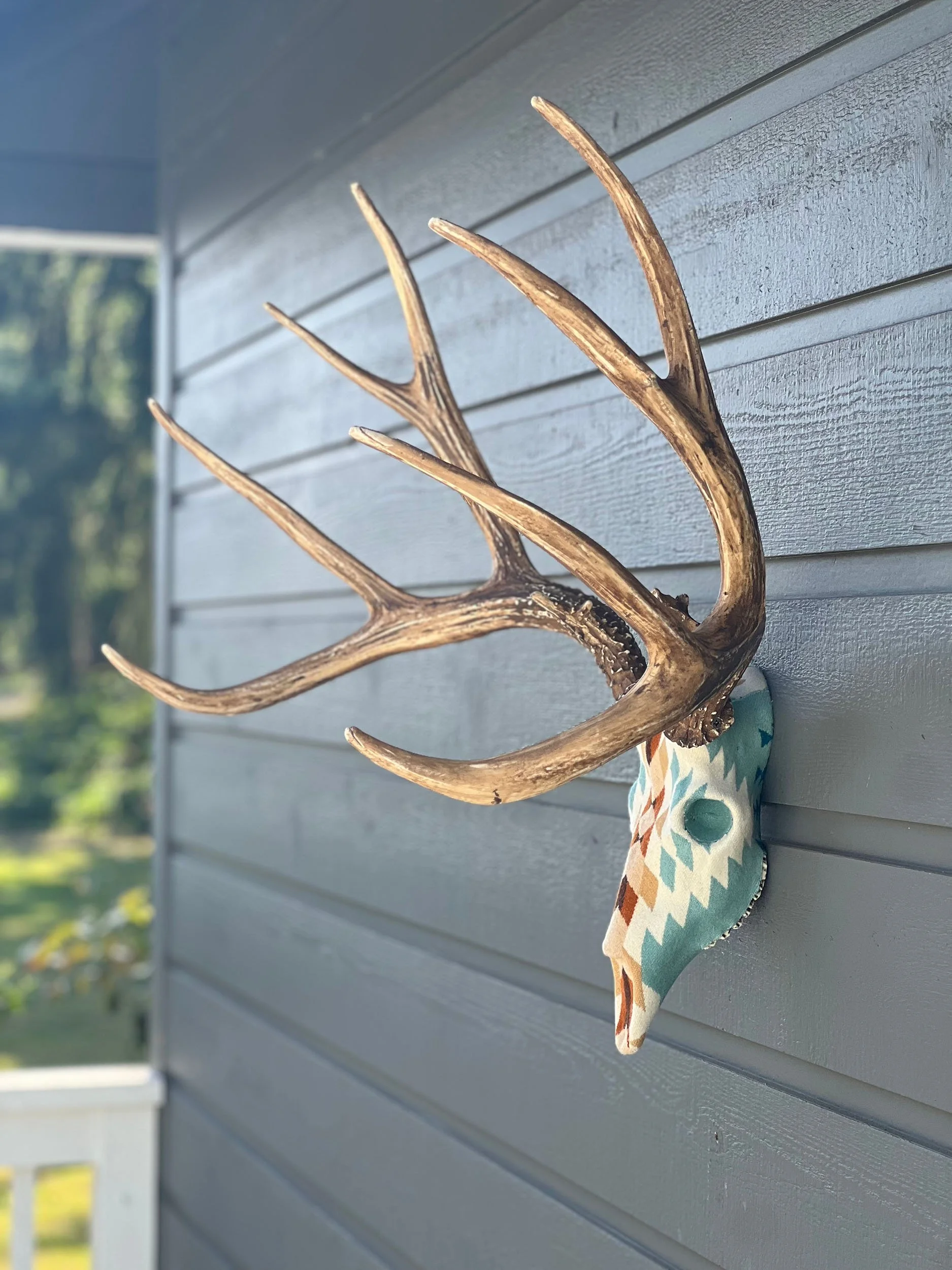 pendleton-muley.jpg