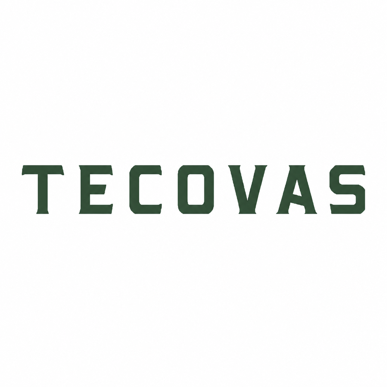 tecovas-logo.png