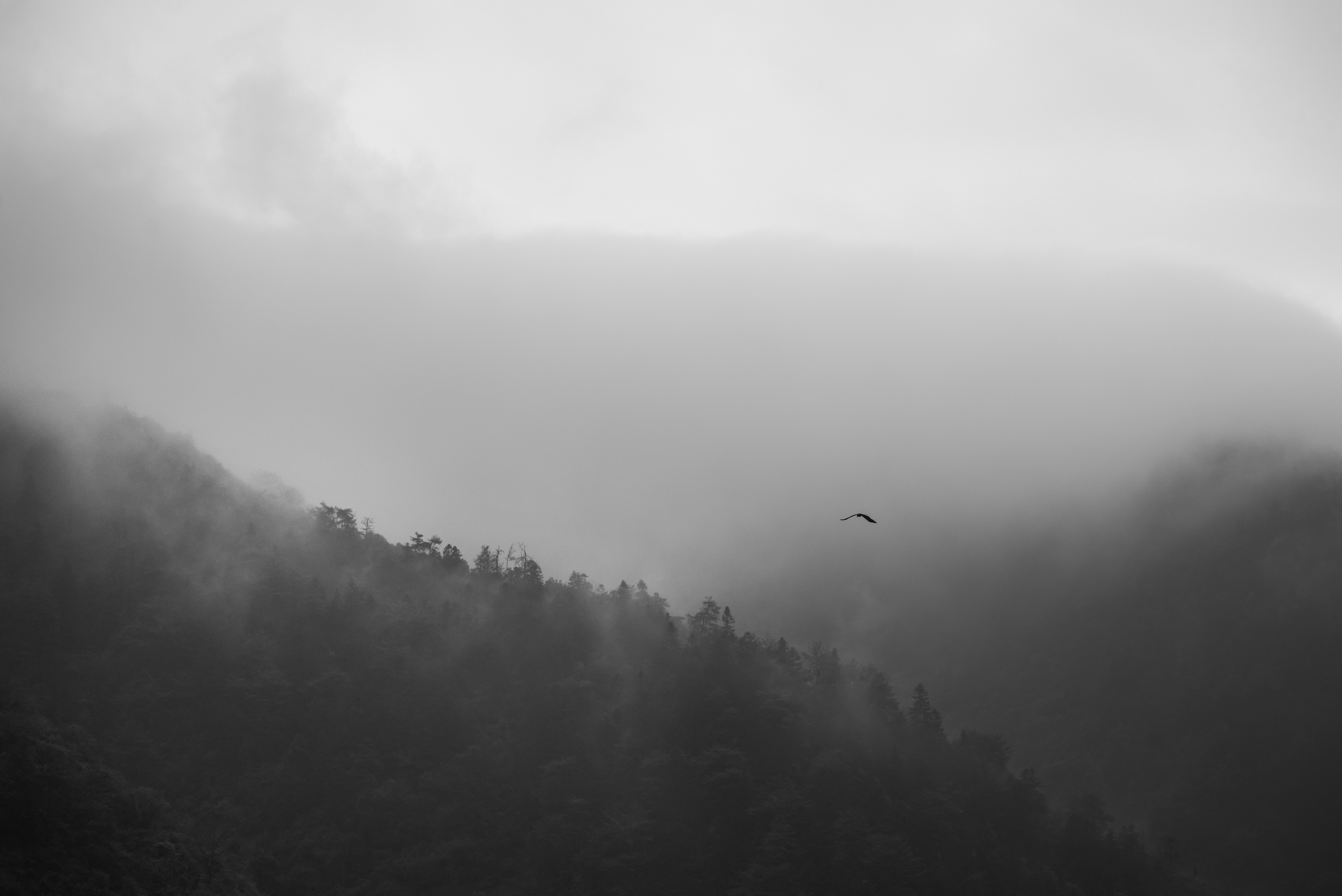 云雾山谷 / Misty Valley
