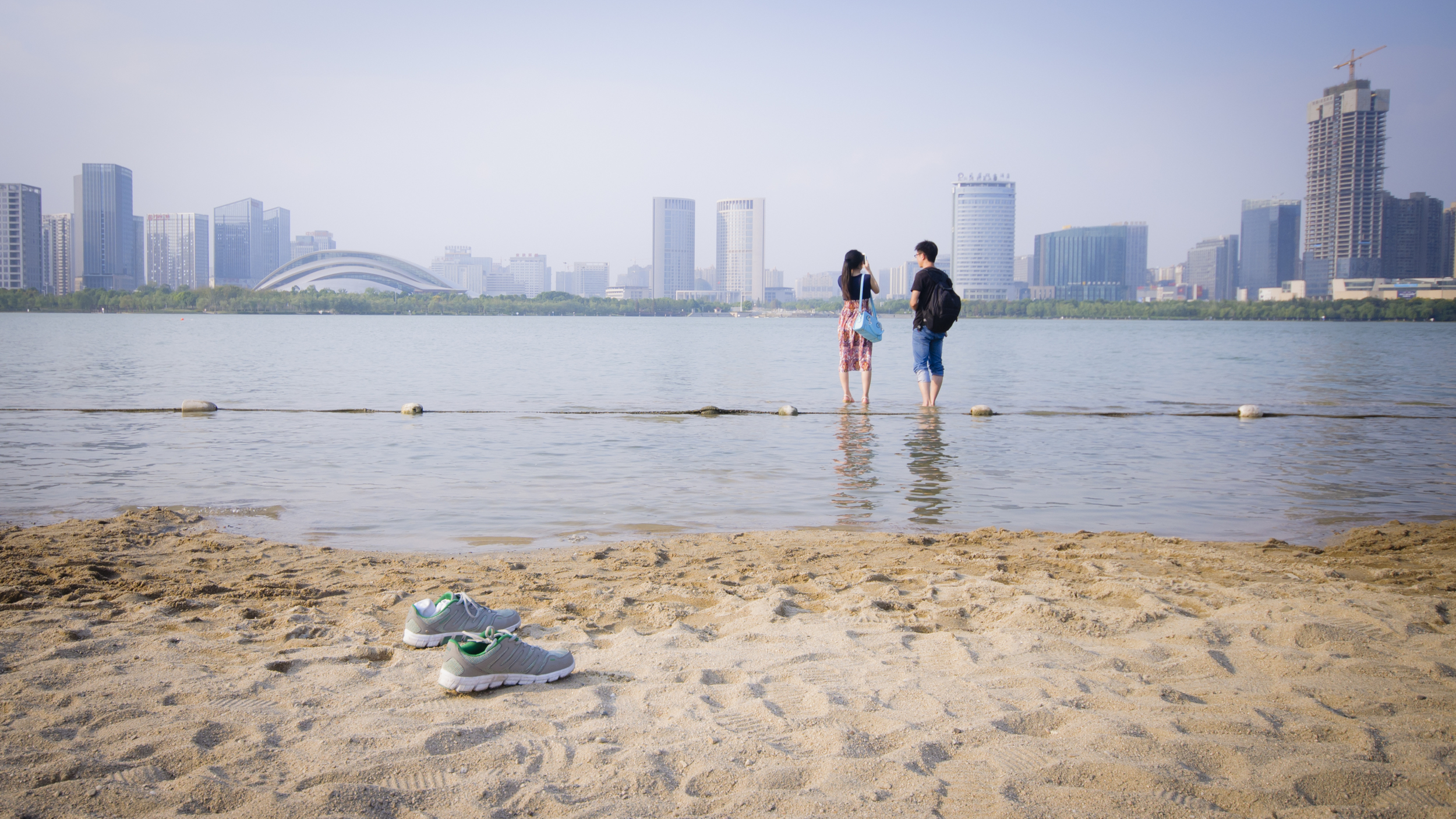 天鹅湖边 / Lake side