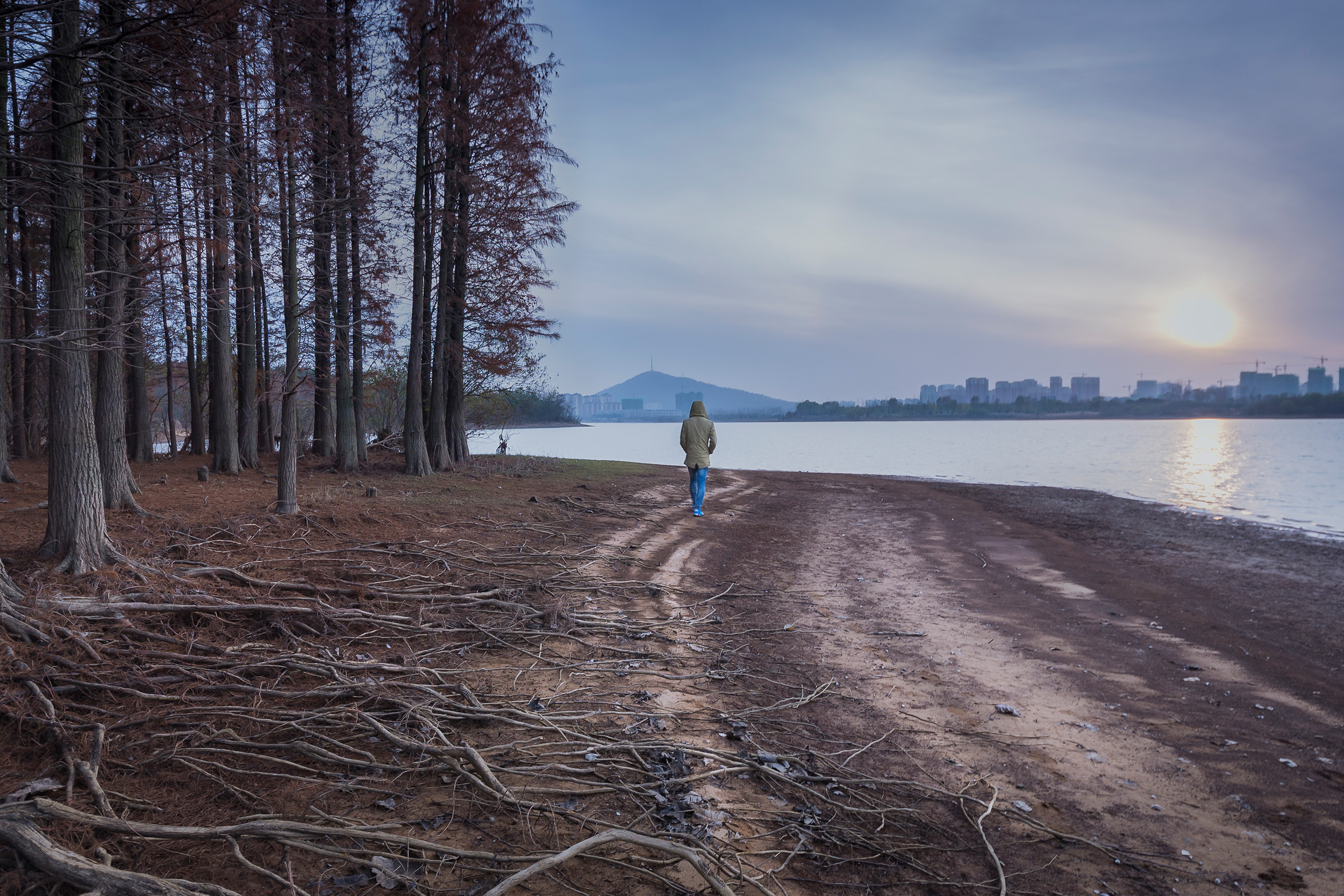 深秋的独行 / Lonely Walking