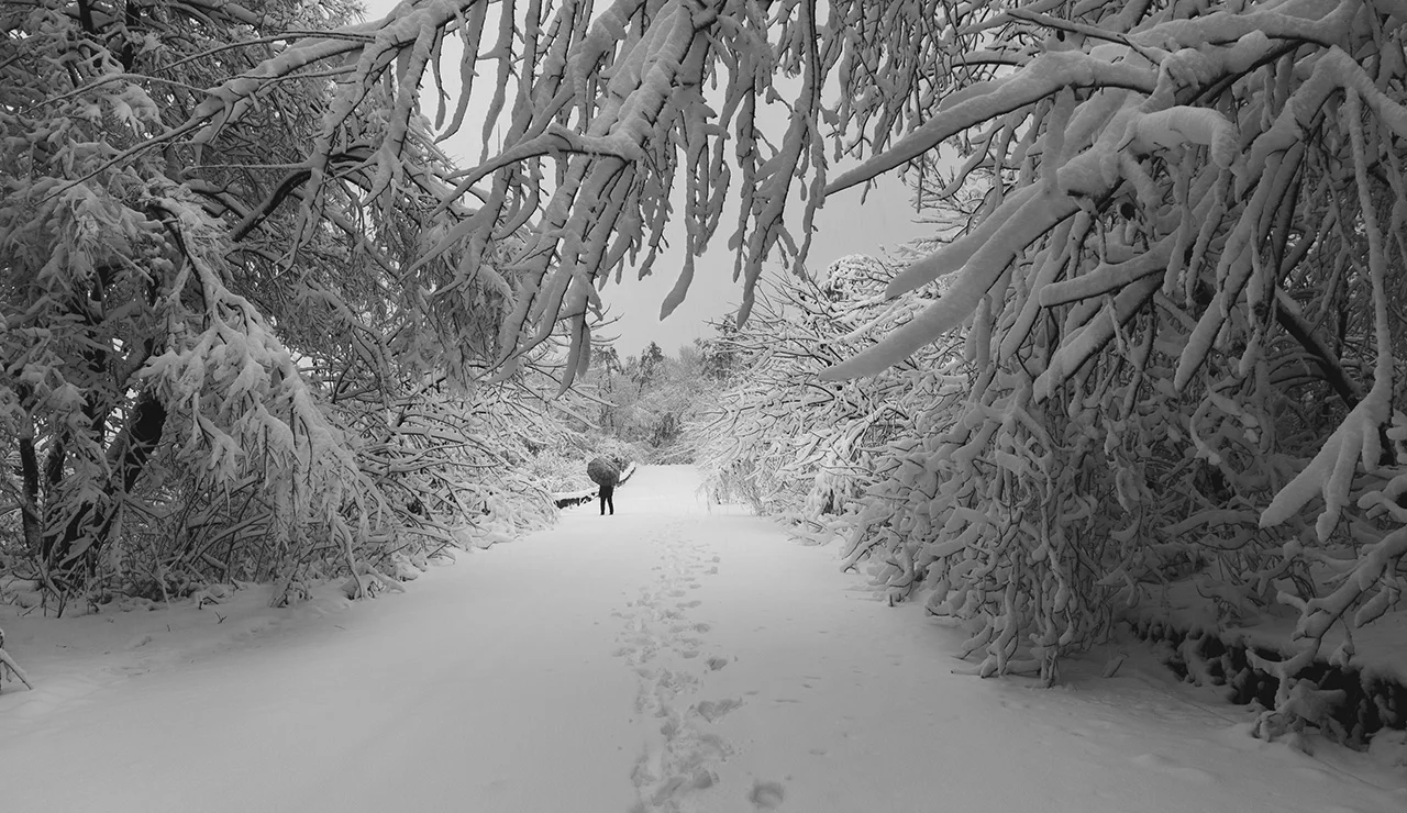 20180104-_DSC2142-Edit.jpg