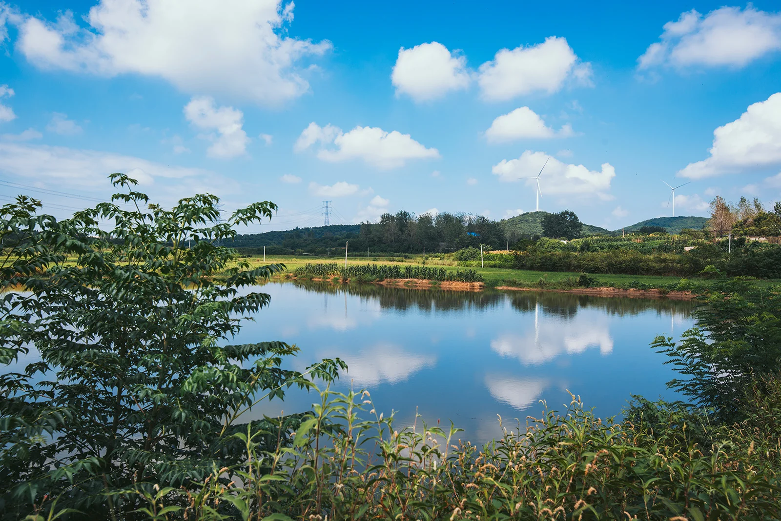 池塘、蓝天、白云，夏日宁静的午后。农村的午后真的超宁静，除了蝉声与风声就没有了，城市里完全感受不到的宁静。