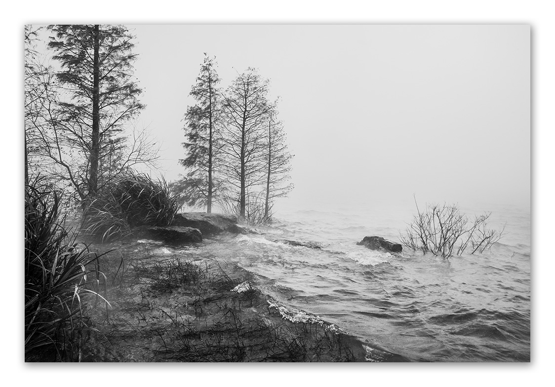 2016年11月23日，那年的第一场雪，植物园。不过以后植物园估计没有办法拍到这种场景了，因为被铁丝网围上，再也无法进去。