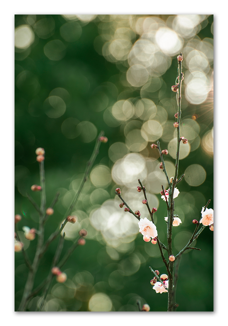 20190312-_DSC7714-Edit.jpg