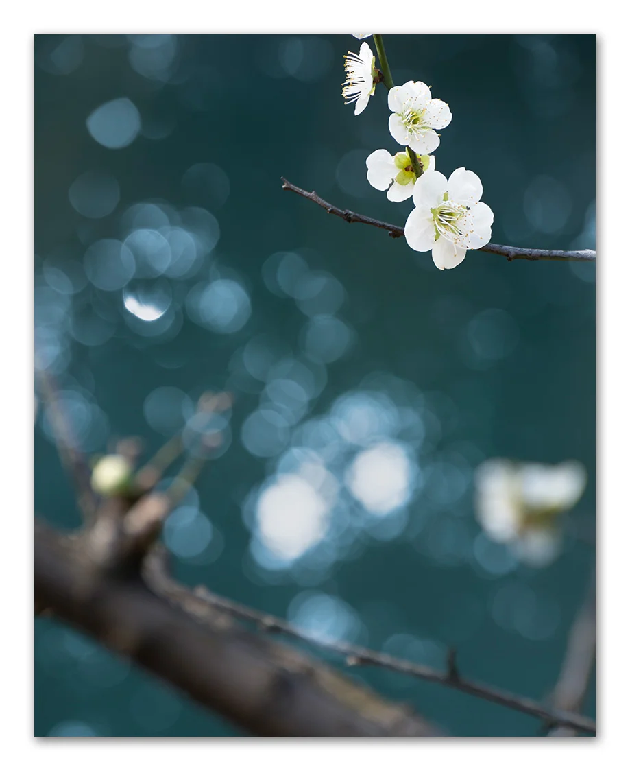 20190314-_DSC7735-Edit.jpg