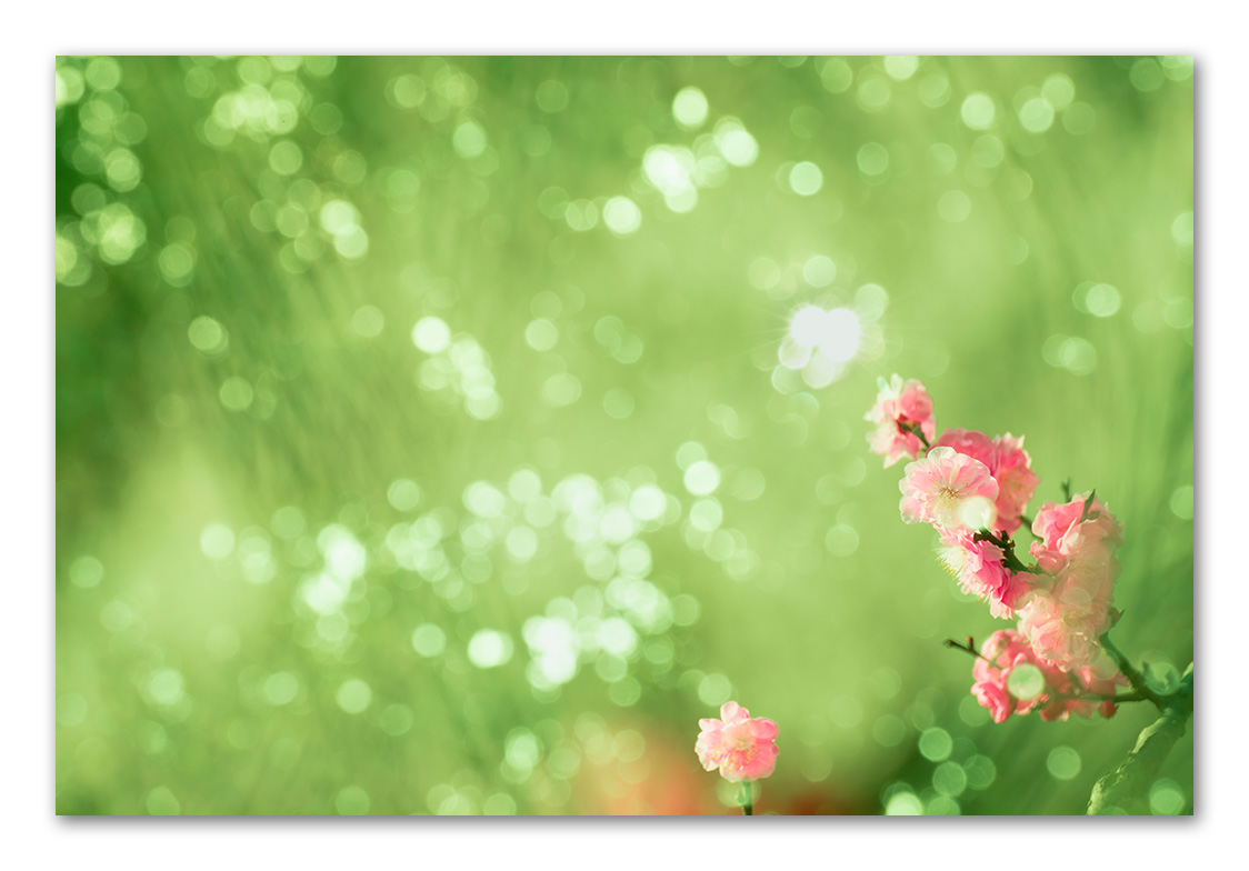 20190312-_DSC7745-Edit-2.jpg