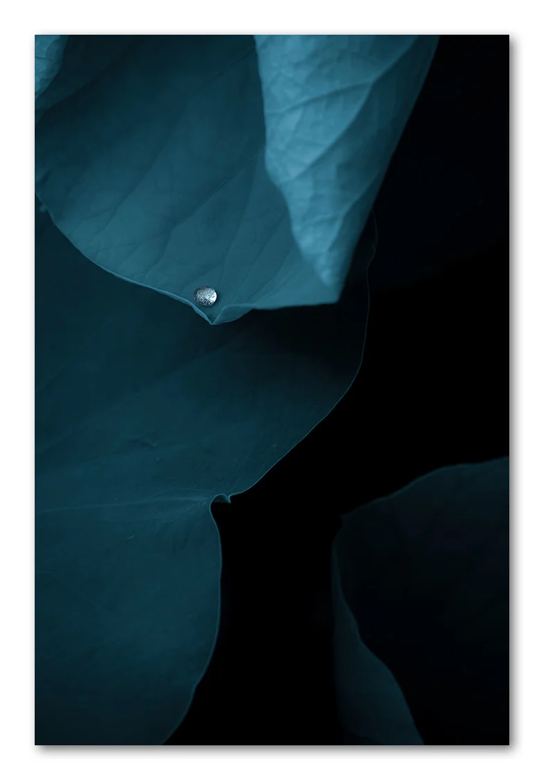 20190606-_DSC8537-Edit.jpg