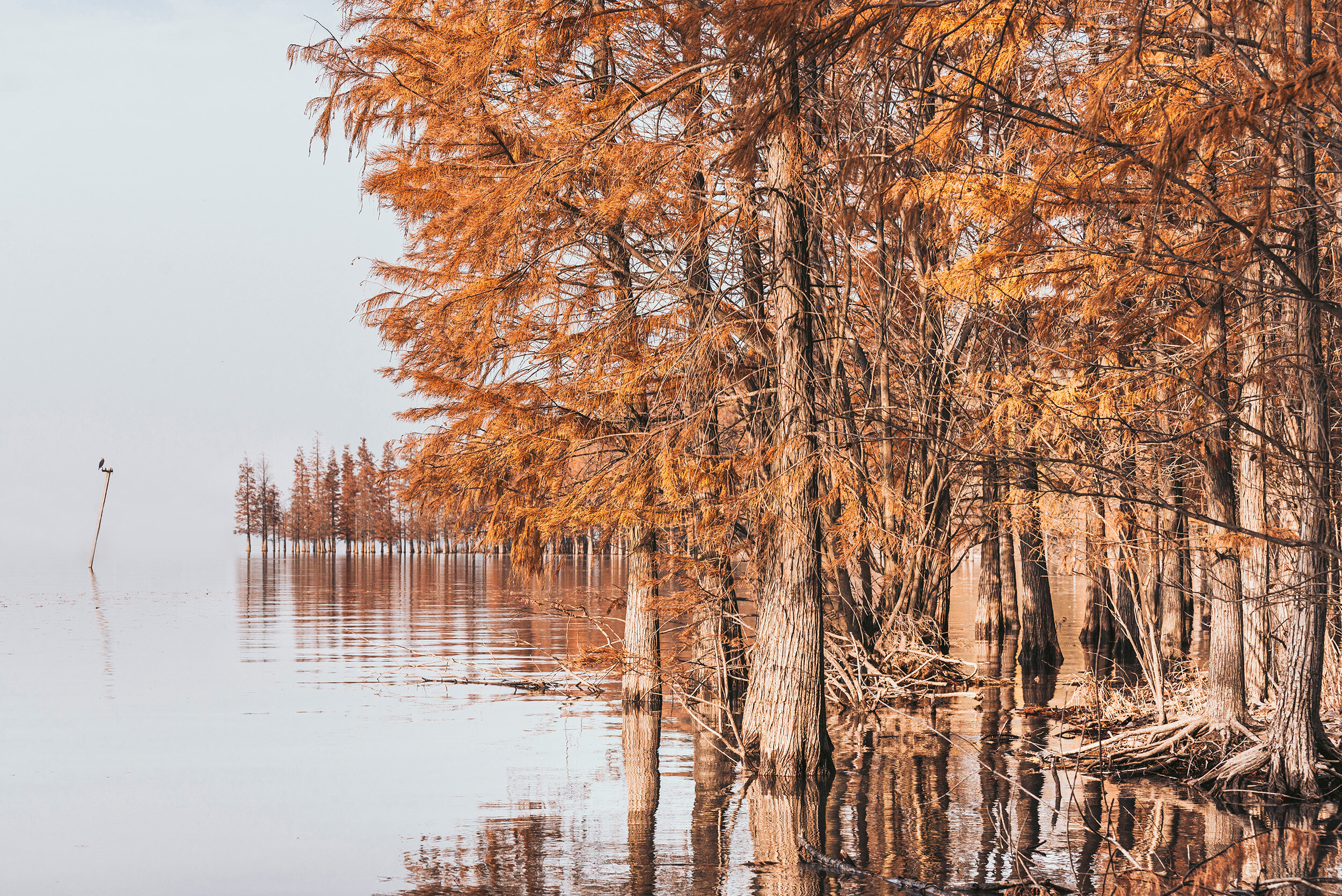 Autumn Lake