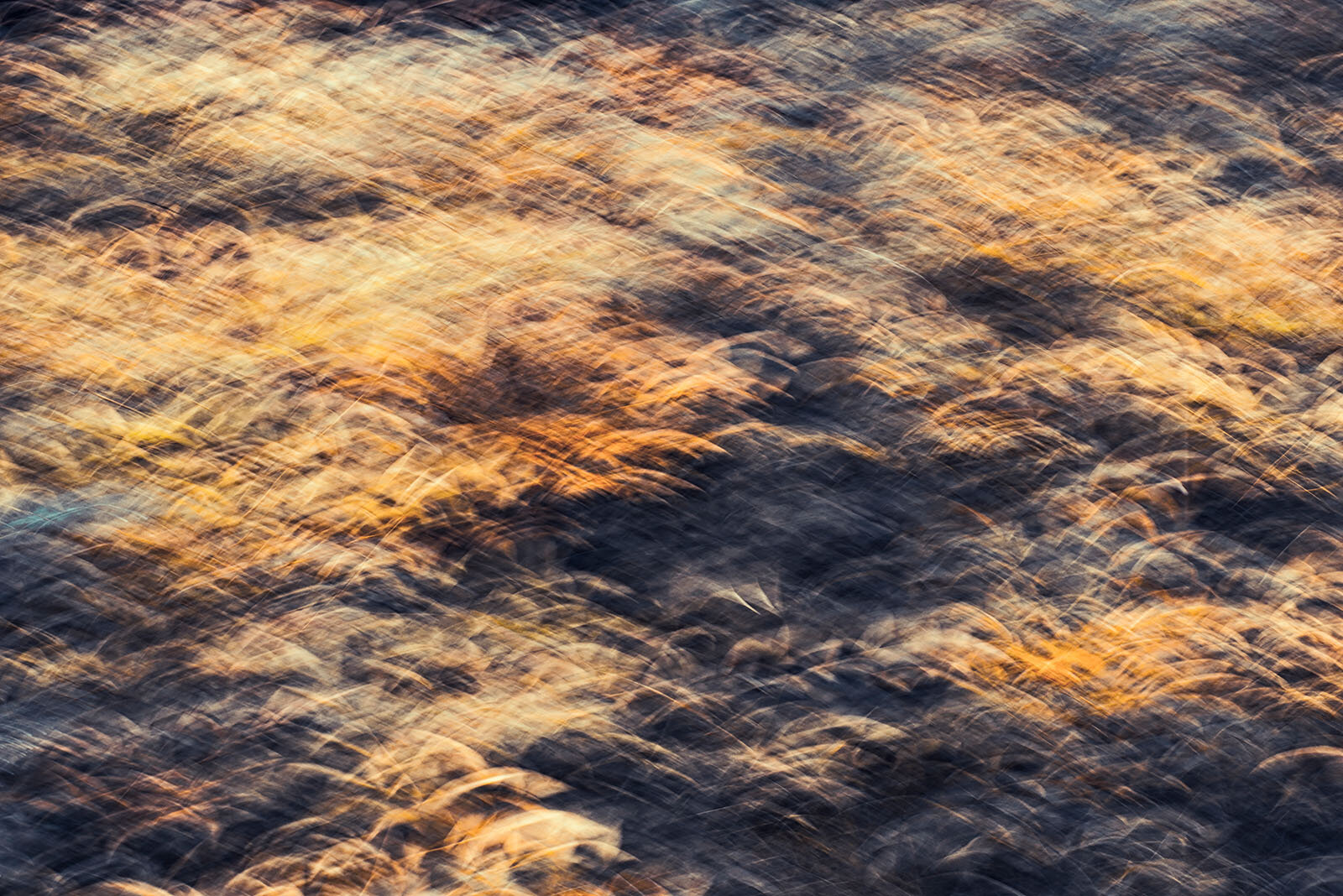 Sunset At The Wheat Field / 落日麦田