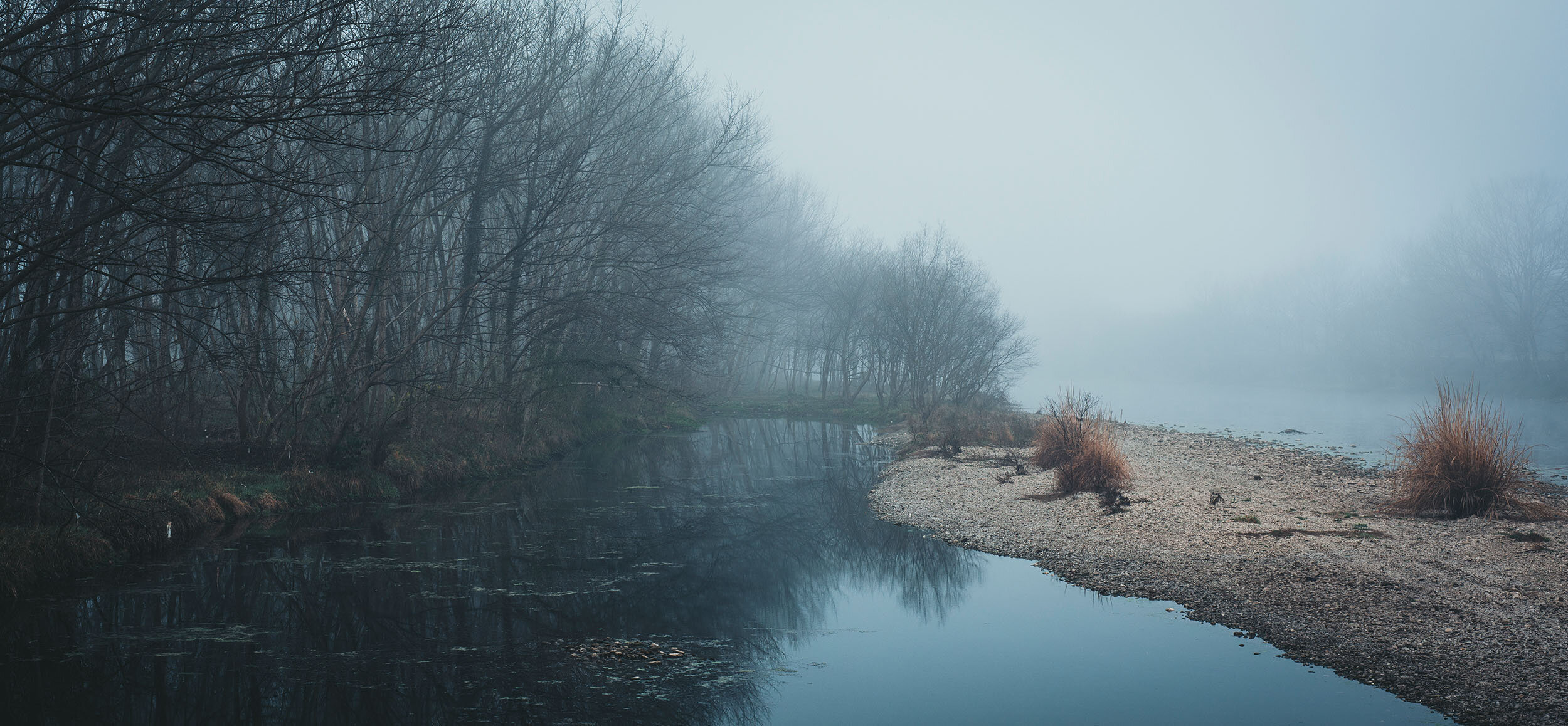 Foggy Forest / 雾隐之林