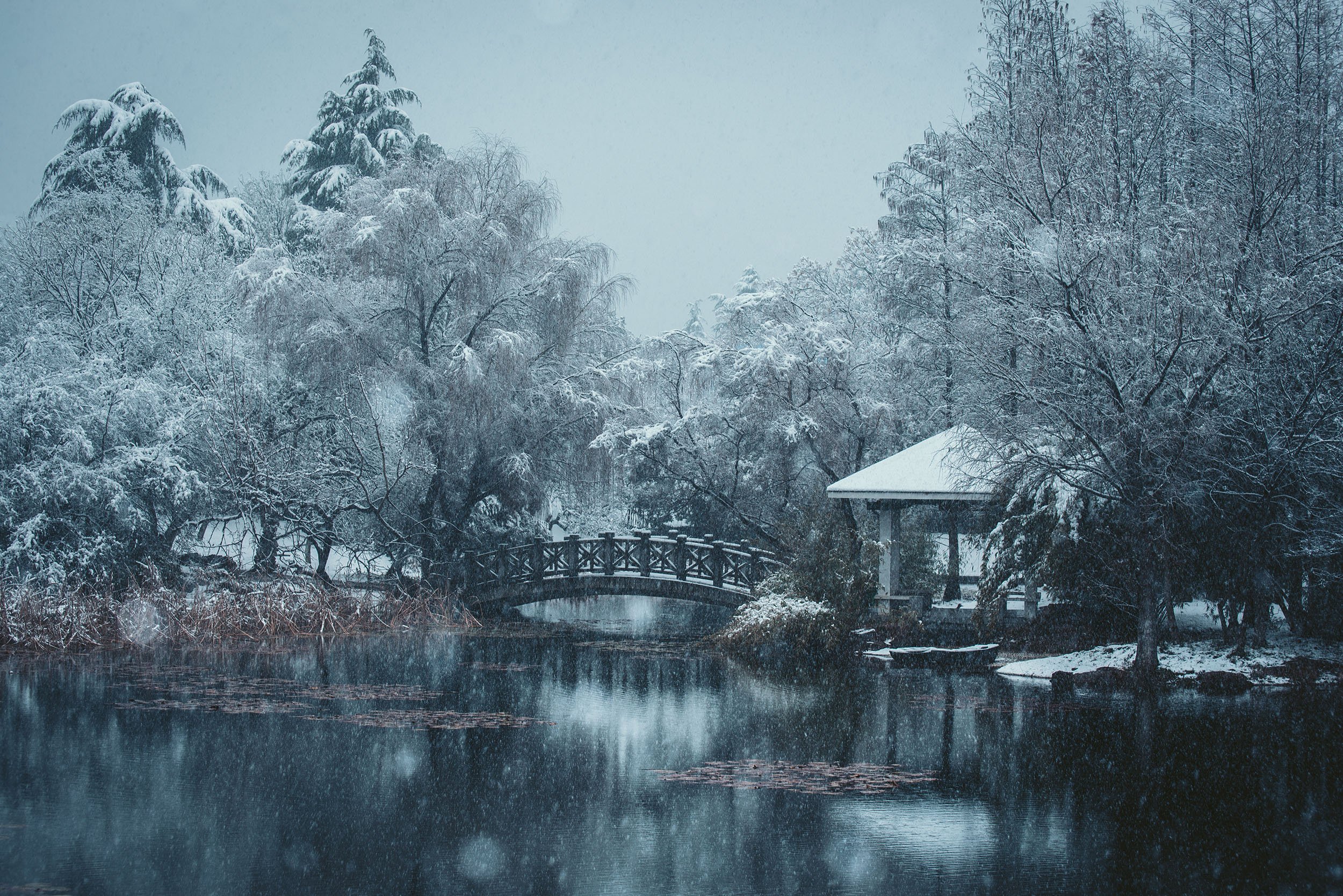 Garden Of Falling Snow / 落雪之园