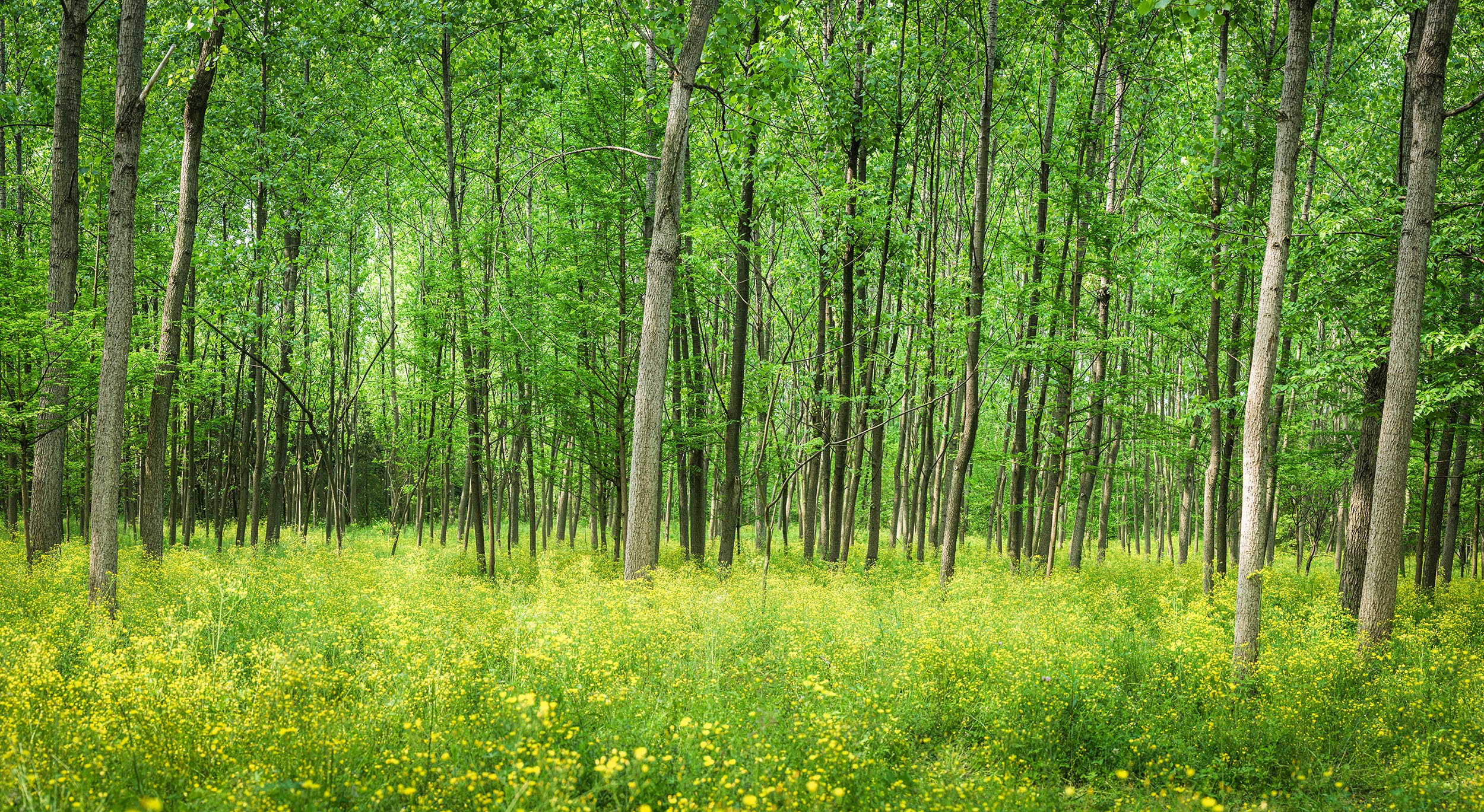 20220419-_DSC3864-Pano-Edit.jpg