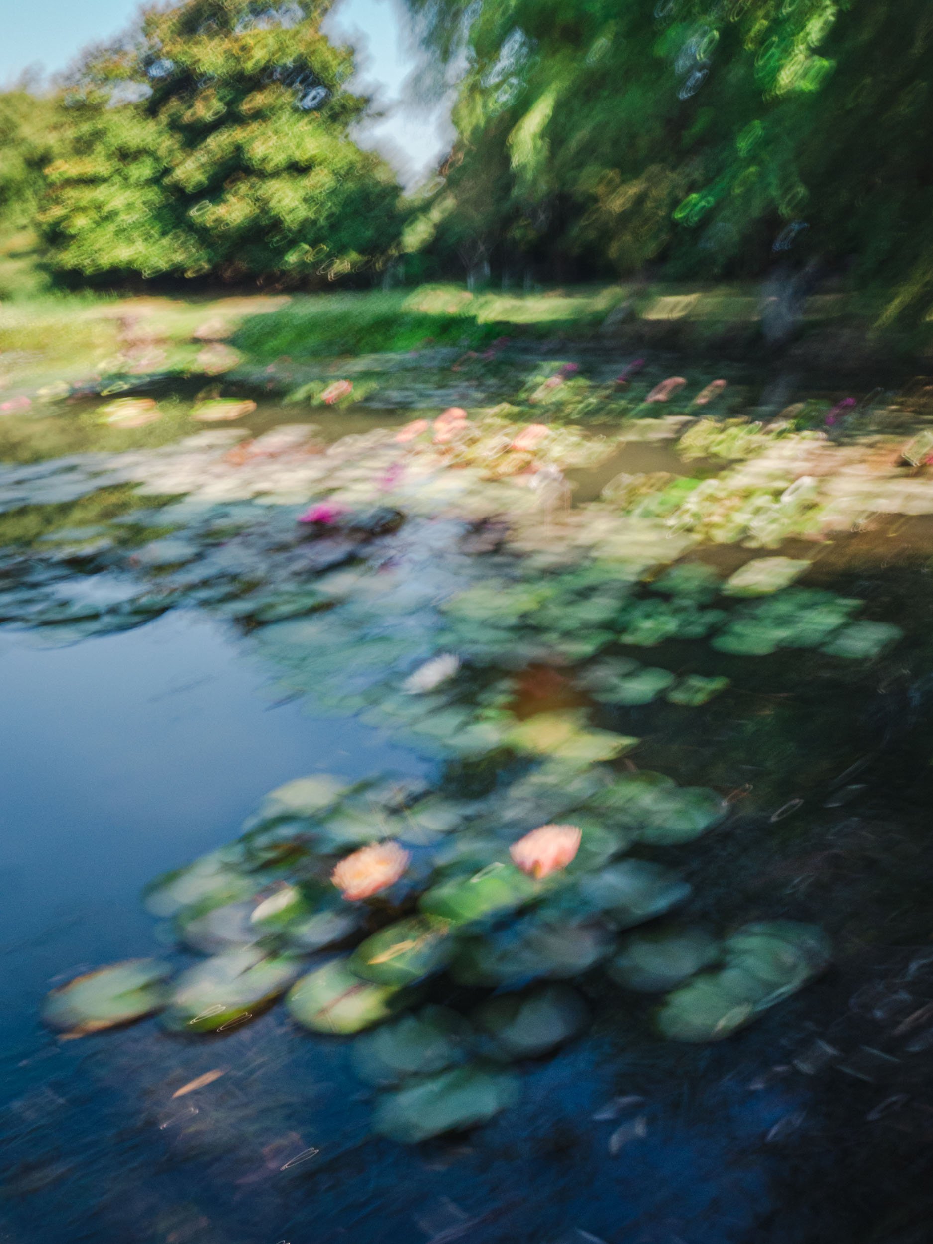 Monet's Pond II / 莫奈池塘·贰