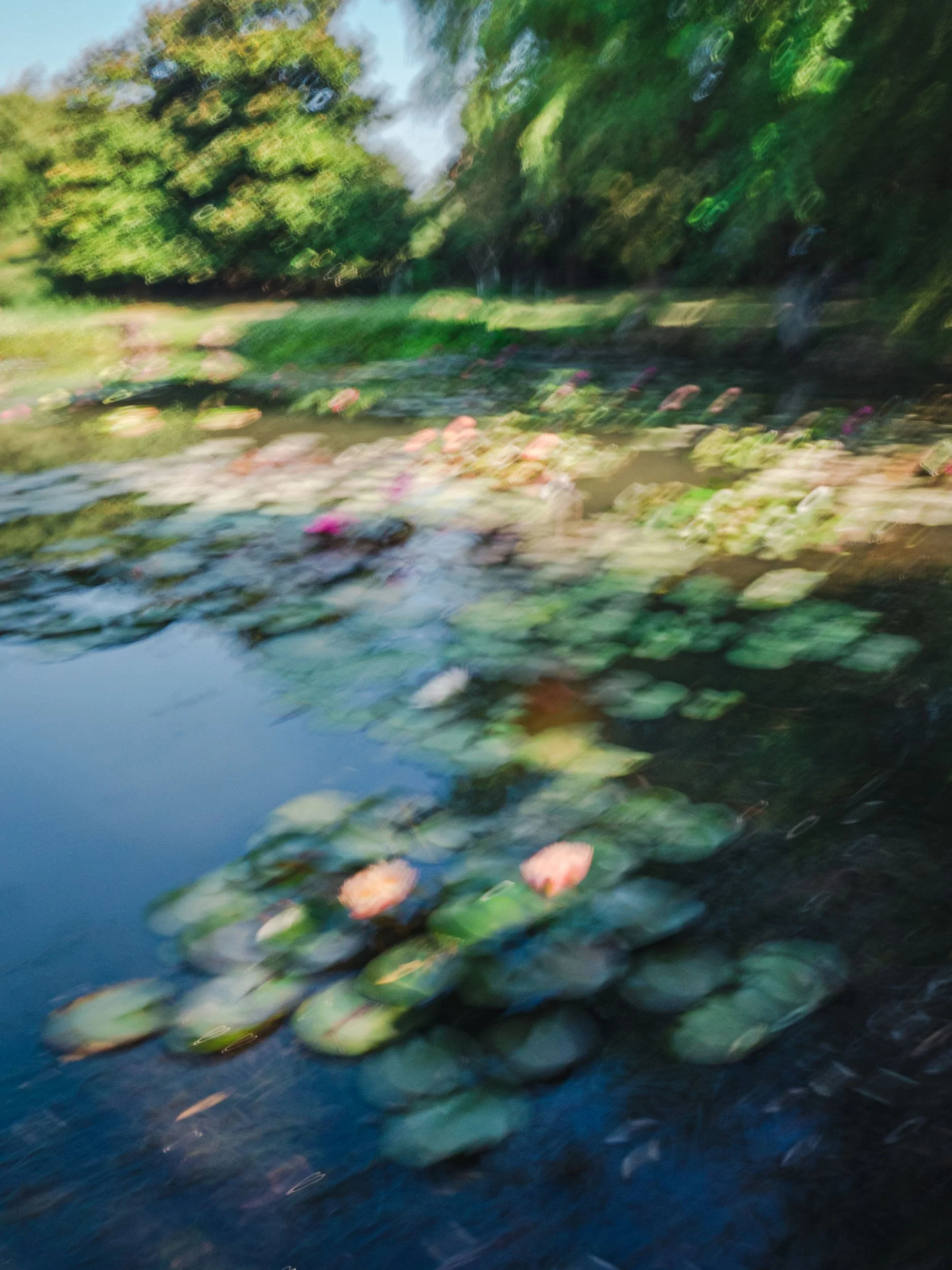 Monet's Pond II / 莫奈池塘·贰