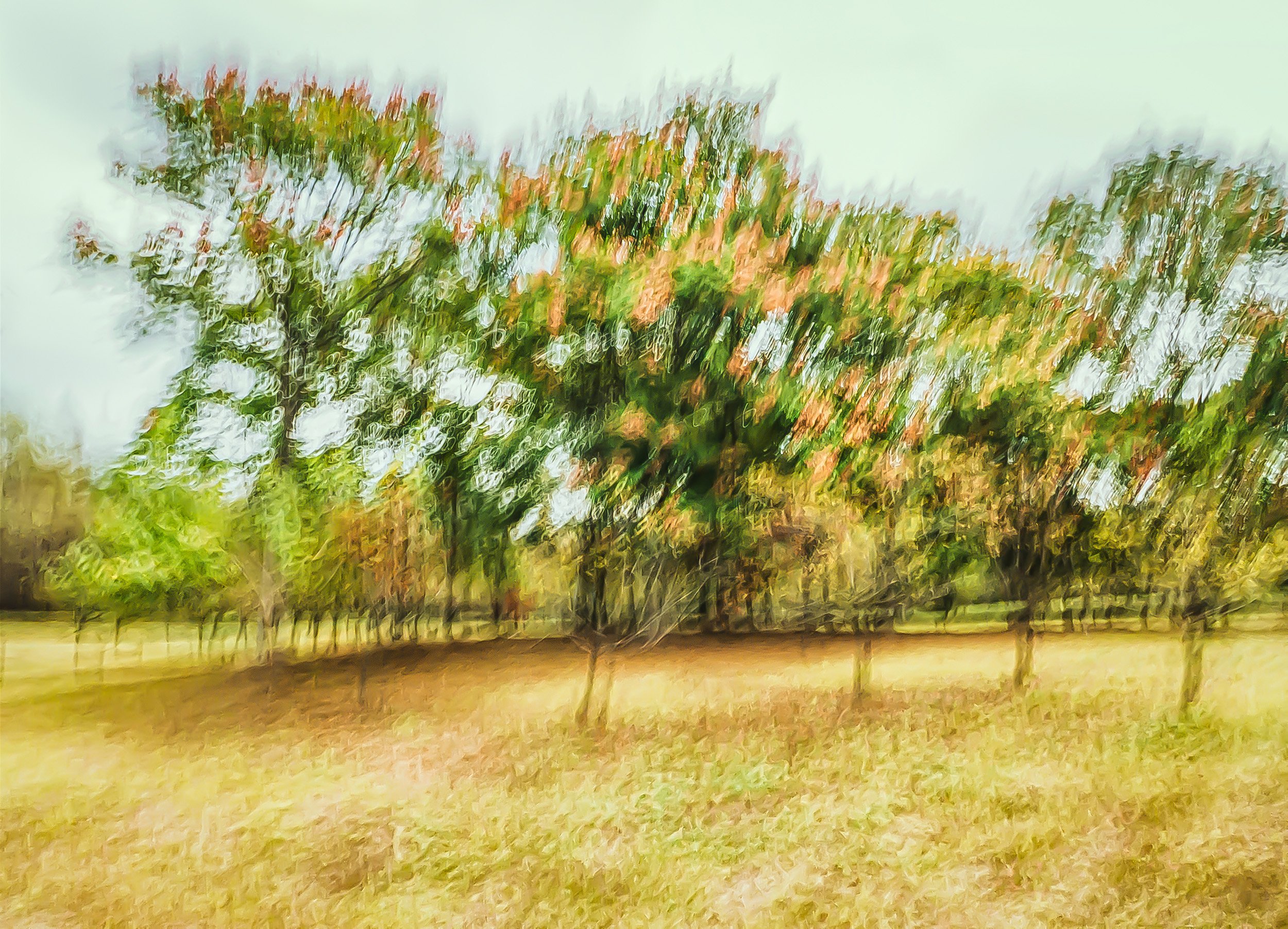 Park in Early Autumn / 初秋的公园