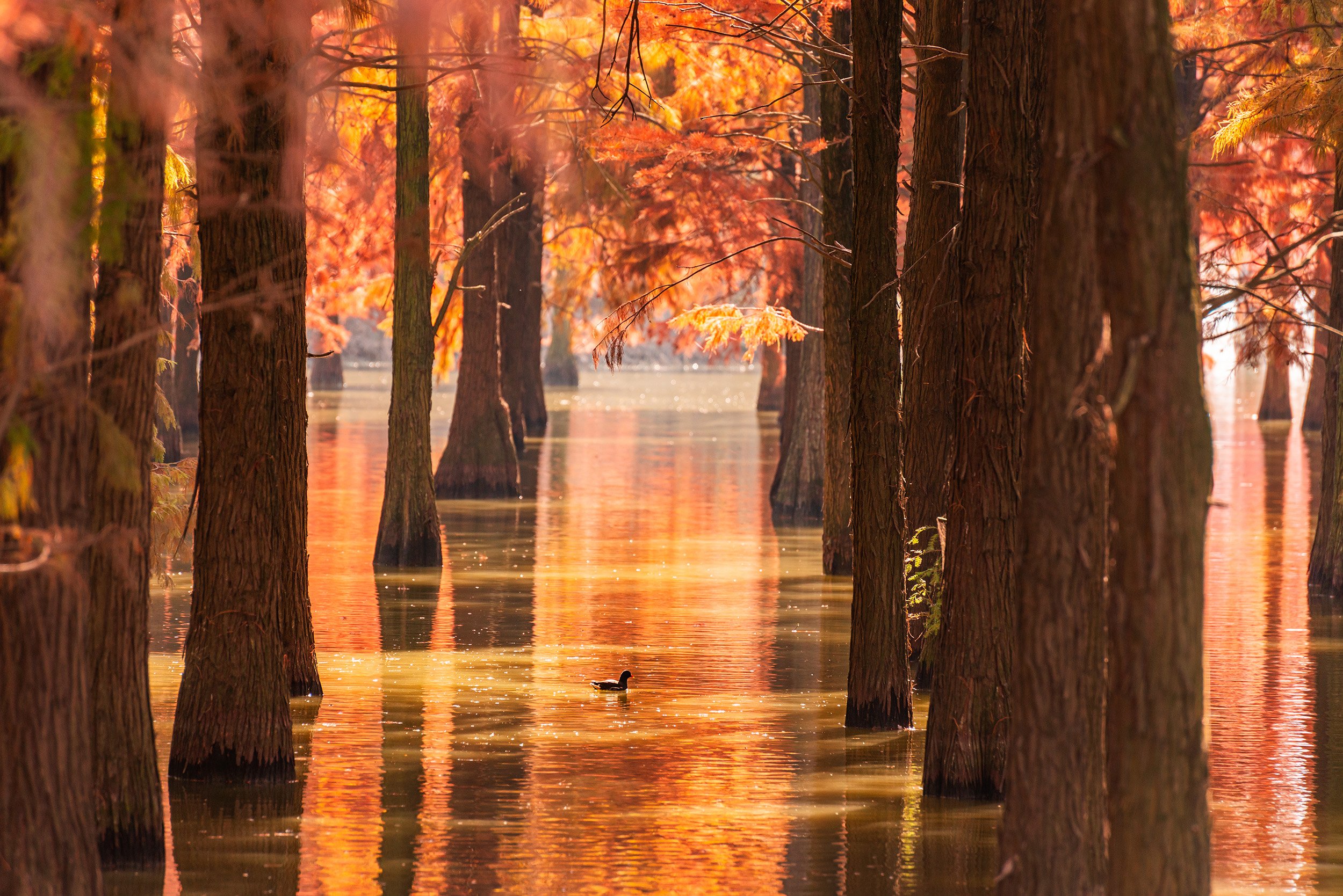 Lake With Autumn Colors / 大汉塘