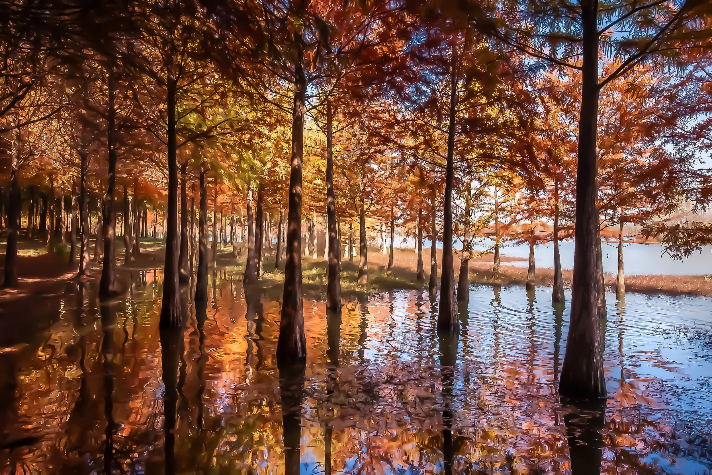 Trees and Reflections