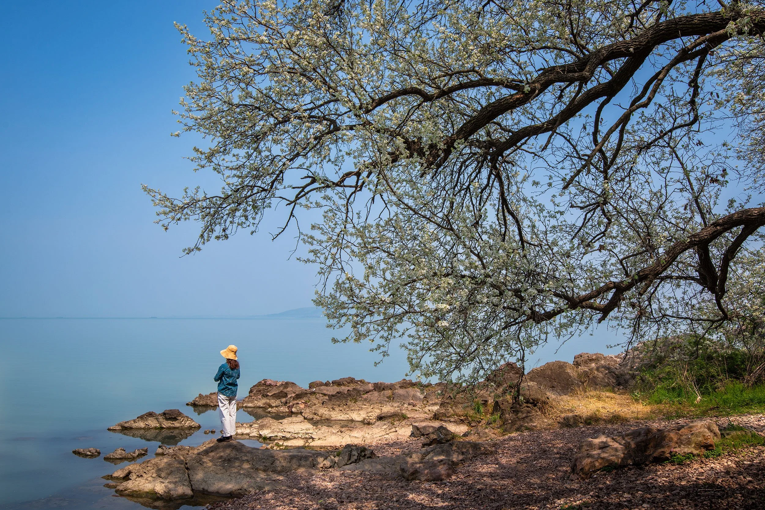 By the tranquil lakeshore
