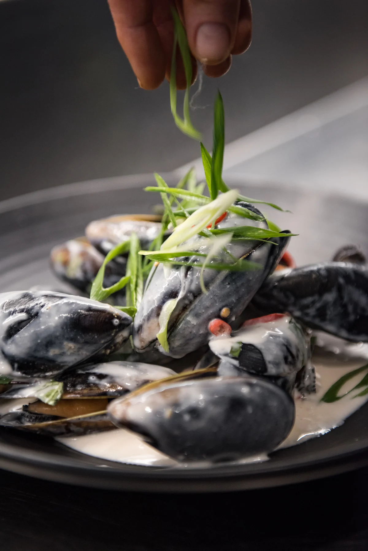 2017_01_The Herring Room 0029.jpg