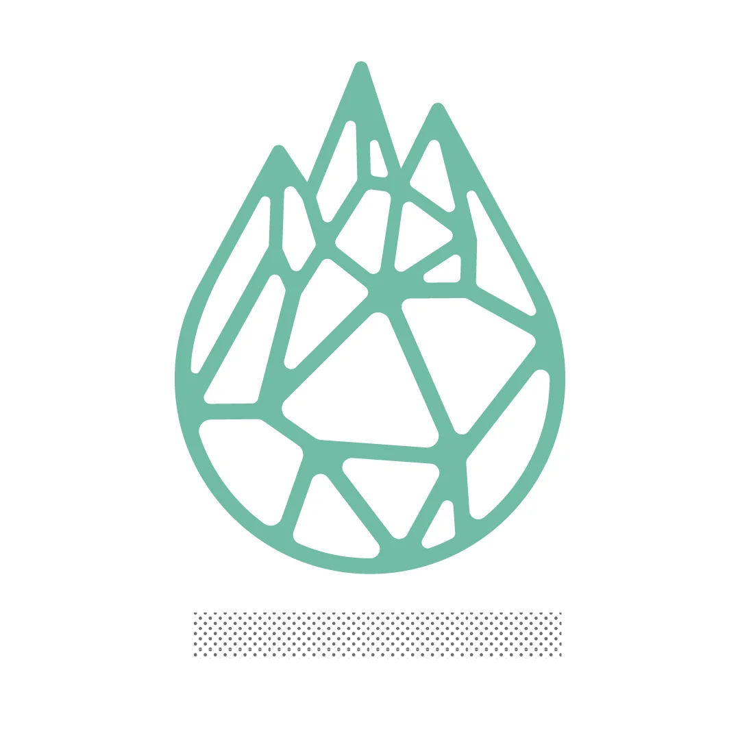leakstop cover-10.jpg